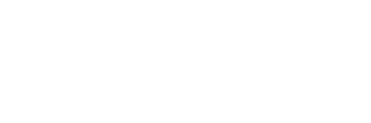DSJ 2017