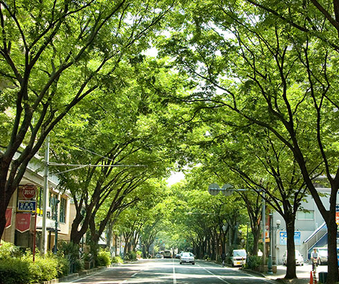 fukuoka image06