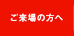 ご来場の方へ